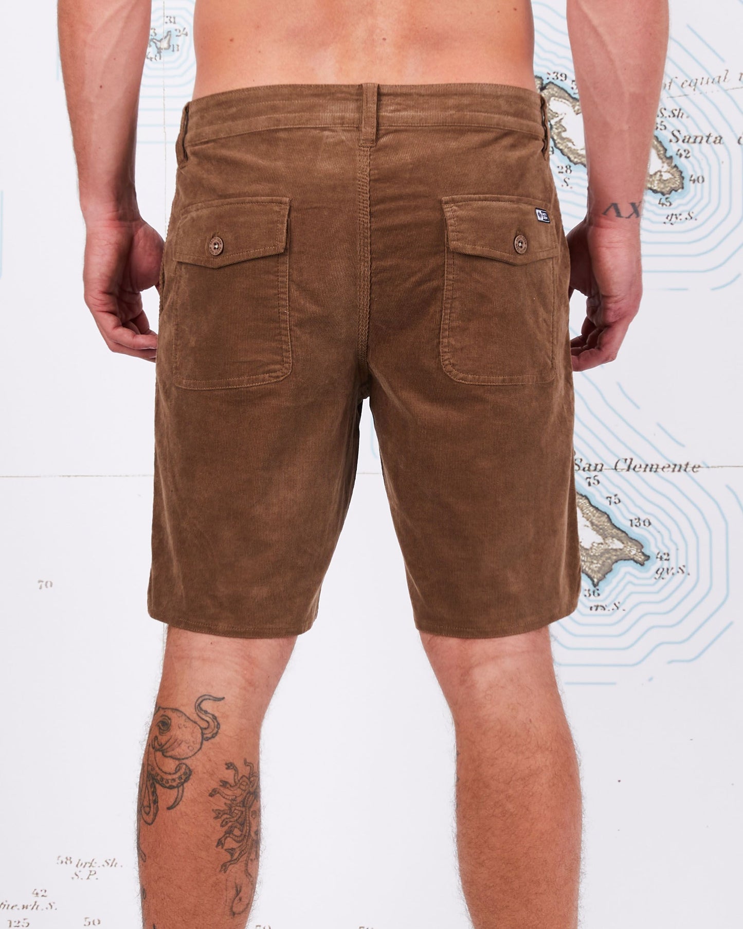 BALLAST CORDUROY SHORTS - Earth